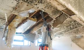 Mold Remediation for Rental Properties in Lincoln, NE